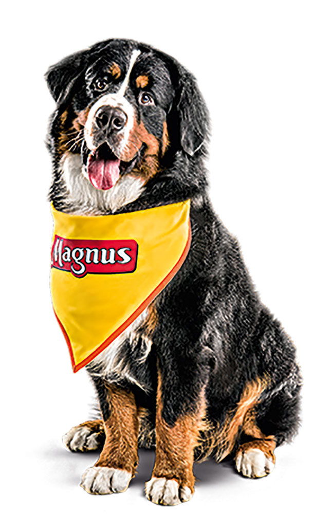 Encontro com o Cão da Magnus