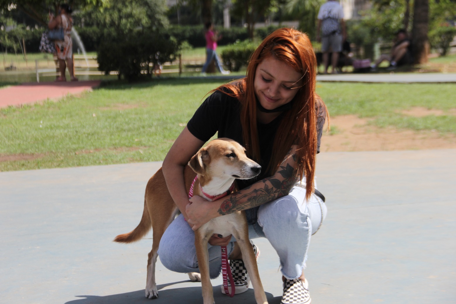 Feira de Adoção de Cães no Parque Dom José 